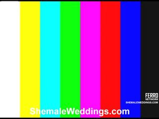 Awesome Shemale Weddings movie With Amazing sex movie Stars Carol, Lorena, Milena